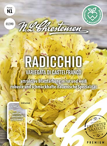 Radicchio Variegata di Castelfranco N.L.Chrestensen Samen 1390 von N.L.Chrestensen