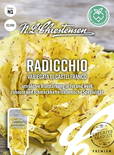 Radicchio Variegata di Castelfranco Samen, Saatgut von N.L.Chrestensen