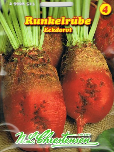 Runkelrübe Eckdorot Futterrübe Typ Rote Walze Rübe ca. 600 Korn Runkelrübe Eckdorot Futterrübe Typ Rote Walze Rübe ca. 600 Korn von Chrestensen