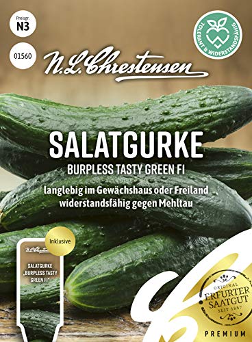 Salatgurke Burpless Tasty Green F1 Samen, Saatgut von N.L. Chrestensen