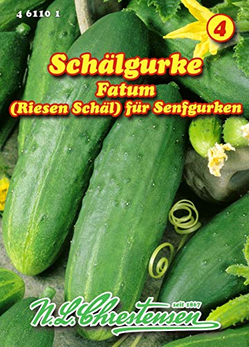 Schälgurke‚ Fatum, (Riesen Schäl) Senfgurken N.L.Chrestensen Samen 461101-B von N.L.Chrestensen