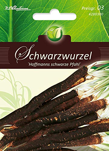 Schwarzwurzel, Hoffmanns schwarze Pfahl von N.L.Chrestensen