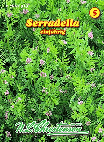 Serradella einjährig N.L.Chrestensen Samen 27801513 Serradella einjährig N.L.Chrestensen Samen 27801513 von N.L.Chrestensen