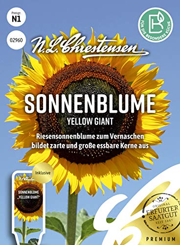 Sonnenblume Yellow Giant Samen, Saatgut von N.L. Chrestensen