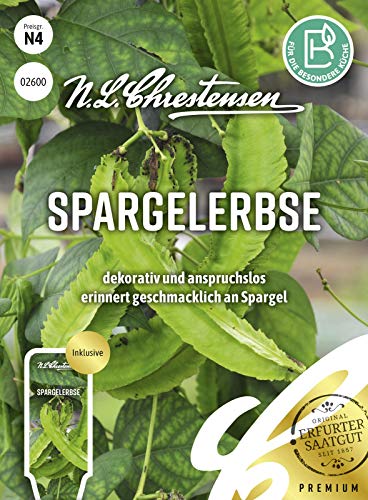 Spargelerbse N.L.Chrestensen Samen 2600 von N.L.Chrestensen