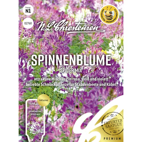 Spinnenblume Spider Mix, attraktive Mischung in rosa, weiß und violett, bienenfreundlich, Samen von N.L.Chrestensen