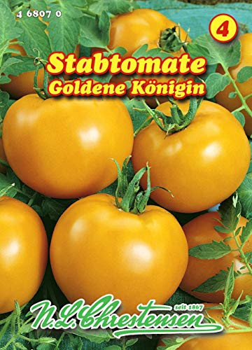Stabtomate, Goldene Königin mittelfrüh N.L.Chrestensen Samen 468070-B Stabtomate, Goldene Königin mittelfrüh N.L.Chrestensen Samen 468070-B von N.L.Chrestensen