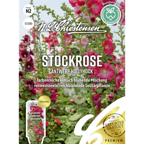 Stockrose Antwerp Hollyhock, farbenreiche einfach blühende Mischung, Samen von N.L. Chrestensen