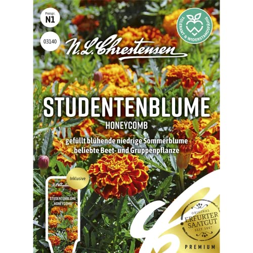 Studentenblume Honeycomb Samen, Saatgut von N.L. Chrestensen