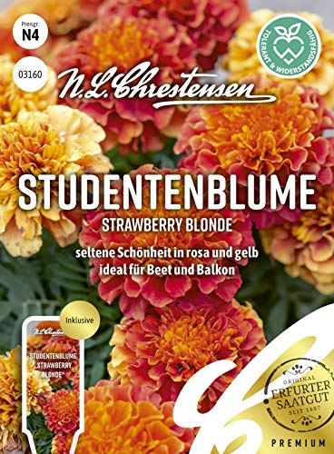 Studentenblume Strawberry Blonde Samen, Saatgut von N.L.Chrestensen