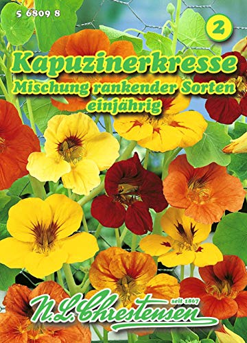 Tropaeolum majus, Kapuzinerkresse, Mischung rankender Sorten N.L. von N.L.Chrestensen