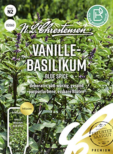 Vanille- Basilikum Blue Spice Samen, Saatgut von N.L.Chrestensen
