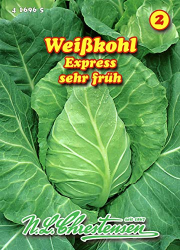 Weißkohl, Express, Spitzkohl sehr früh N.L.Chrestensen Samen 416965-B Weißkohl, Express, Spitzkohl sehr früh N.L.Chrestensen Samen 416965-B von N.L.Chrestensen