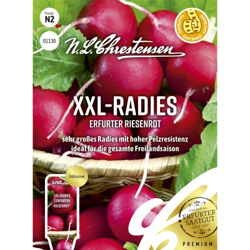 XXL- Radies Erfurter Riesenrot, Saatband sehr großes Radies mit hoher Pelzresistenz, Samen von N.L. Chrestensen