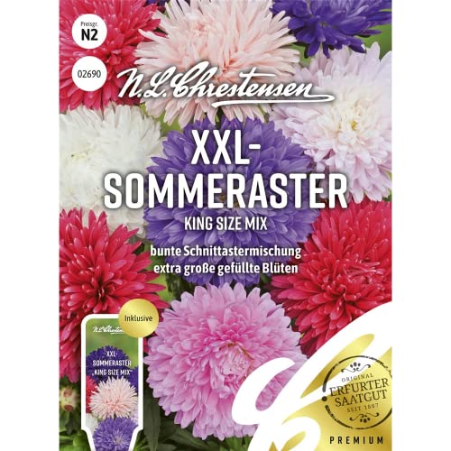 XXL- Sommeraster King Size Mix Samen, Saatgut von N.L.Chrestensen