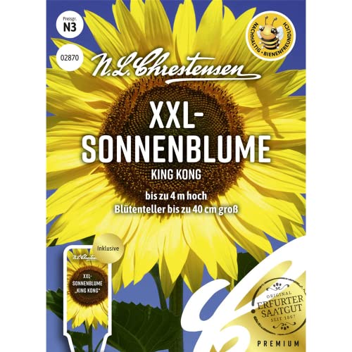 XXL- Sonnenblume King Kong Samen, Saatgut von N.L.Chrestensen