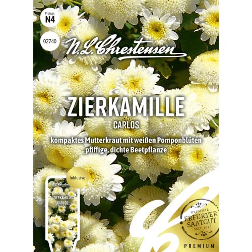 Zierkamille Carlos, kompaktes Mutterkraut mit weißen Pomponblüten, Samen von N.L.Chrestensen