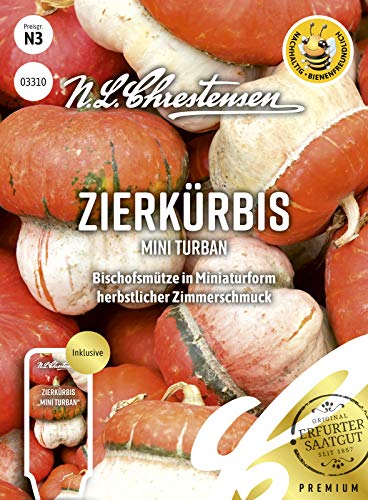 Zierkürbis Mini Turban Samen, Saatgut von N.L.Chrestensen