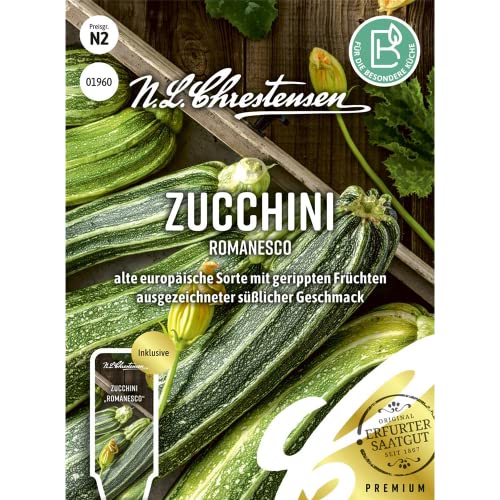 Zucchini Romanesco, alte europäische Sorte mit gerippten Früchten, Samen von N.L. Chrestensen
