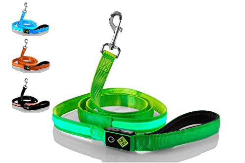 Rockro LED Hundeleine 180 cm USB wiederaufladbar Leuchtend wasserdicht - Perfekte Ergänzung für alle Leuchthalsbänder - Kleine und Große Hunde (Grün) von Rockro