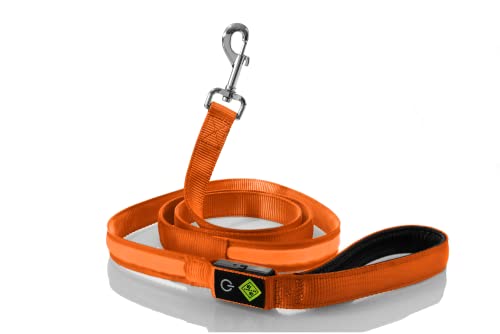 Rockro LED Hundeleine 180 cm USB wiederaufladbar Leuchtend wasserdicht - Perfekte Ergänzung für alle Leuchthalsbänder - Kleine und Große Hunde (Orange) von Rockro