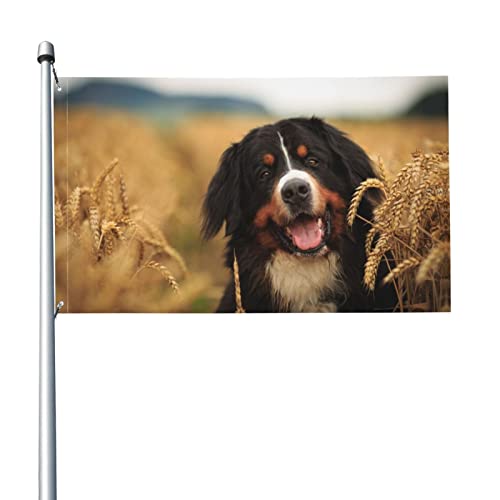 Fahnen, Hund und Weizen Flagge 5 Fuß x 3 Fuß mit Ösen Banner Polyester Gartenflaggen Hauswandflaggen für drinnen und draußen von NA-