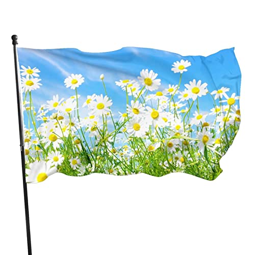 Fahnen 5ft x 3ft mit Ösen, Frühlings-Gänseblümchen Flaggen 5 Fuß x 3 Fuß mit Ösen Lichtbeständig Langlebig Hofbanner Haus Hof Veranda Rasenschild im Freien Fahnen 5ft x 3ft mit Ösen, Frühlings-Gänseblümchen Flaggen 5 Fuß x 3 Fuß mit Ösen Lichtbeständig Langlebig Hofbanner Haus Hof Veranda Rasenschild im Freien von Buosha