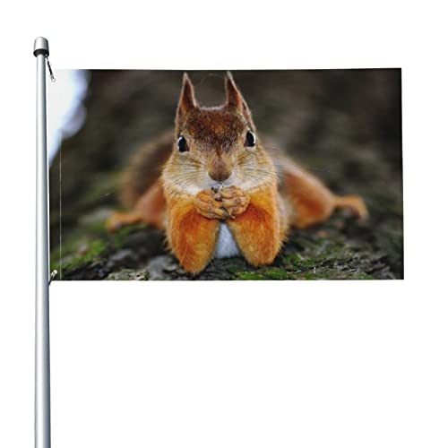 Flagge, Lustiges Eichhörnchen Flagge lustige Flaggen 5 Ft x 3 Ft mit Ösen, Festival Party UV-beständig Polyester Fahnen für Terrasse Garten von NA-