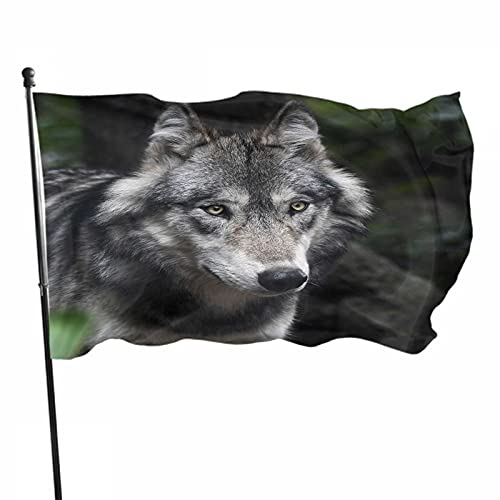 Flagge 150x90cm, Outdoor Windward Fahne, Lebendiges Farbbanner Gartenflagge Wolf Dekorative Flagge, Hochwertige Polyester Yard Fahne, Lustige Große Flagge, Outdoor-Dekoration von NA-