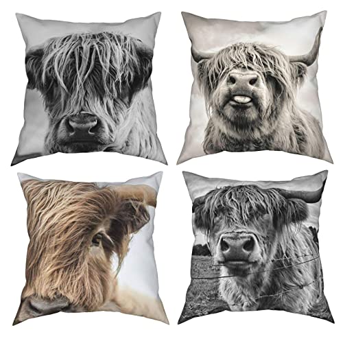 Highland Cow 4 Stück Kissenbezug,Dekokissen Dekor für Home Couch Auto Schlafzimmer Sofa,Kissenbezug,16x16 Zoll von NA-