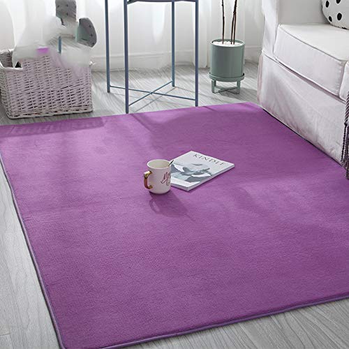 Korallenrote Samtmatte, Teppiche Wohnzimmer Modern Baby Tresor Teppiche Kinderspielmatten Rutschfeste Kinderteppiche Für Das Wohnzimmer Babyschlafzimmer Rutschfeste Abriebfeste,Lila,140 * 200cm von NA