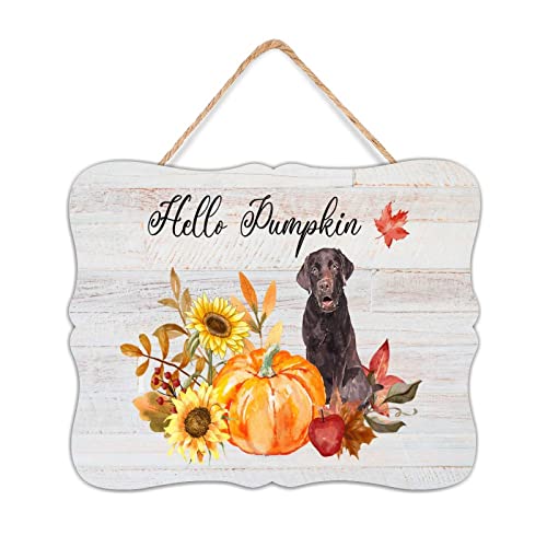 NABRAND Hello Pumpkin Room Decor Signs Rustic Holzschild Motivational Dog Pet Fall Harvest Wall Art Holz Plaque Schild Home Decor for Bathroom Window 8x10 Inch von NABRAND