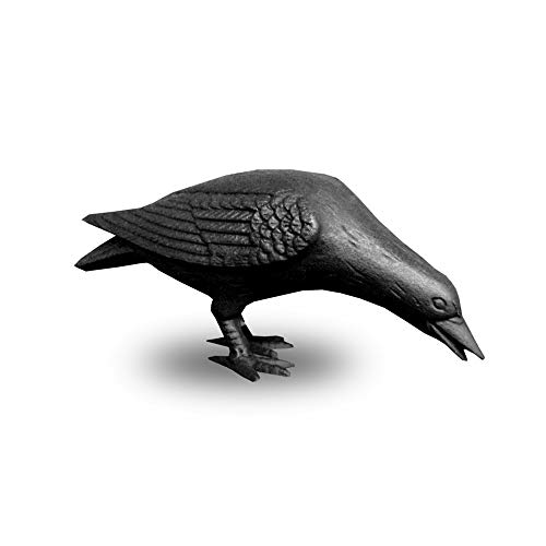 NACH Gusseisen Krähe Statue Kopf nach unten Rabe Große Gartenstatuen Krähe Garten Skulptur Vogel Figuren Home Decor Krähe Dekor Rabe Dekor Schwarz Vogel Statue 25,4 x 8,9 x 15,2 cm JS-90-7117 NACH Gusseisen Krähe Statue Kopf nach unten Rabe Große Gartenstatuen Krähe Garten Skulptur Vogel Figuren Home Decor Krähe Dekor Rabe Dekor Schwarz Vogel Statue 25,4 x 8,9 x 15,2 cm JS-90-7117 von NACH