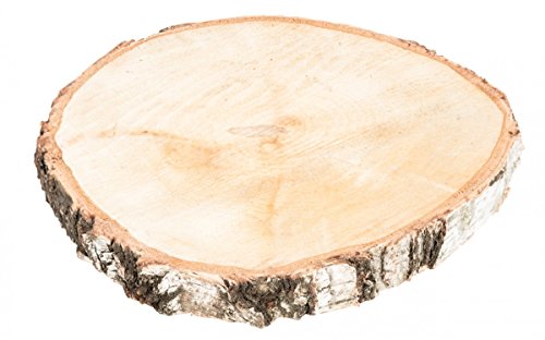 NaDeco Birkenscheibe Ø20-30cm x 2-3cm Holzscheibe große Baumscheiben Große Birkenscheibe Birkenstamm Scheiben Birkenholz Deko Holzscheibe zur Dekoration von NaDeco