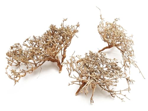 NaDeco Dry-Busch-Zweige in Natur, Packung mit ca. 0,5kg | Deko-Zweig | Korallenholz | Korallenzweige | Deko-AST | Deko-Wurzeln | Exotische Dekoration | Modellbau | Terrarium-Deko | Naturdeko von NaDeco