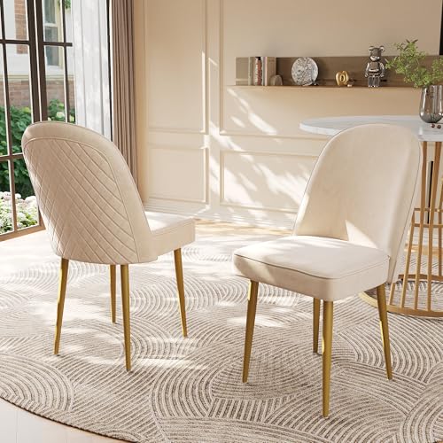 NADEUSAK Esszimmerstühle,Moderne beige Samt-Esszimmerstühle,Goldene Metallbeine,modisch und bequem,Geeignet für Esszimmer,Wohnzimmer und Arbeitszimmer (2) von NADEUSAK