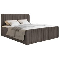 NADUVI Collection | Boxspringbett Adrien Samt mit Stauraum 140x200 von NADUVI Collection