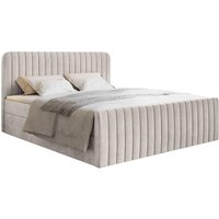 NADUVI Collection | Boxspringbett Adrien Samt mit Stauraum 160x200 von NADUVI Collection