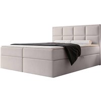 NADUVI Collection | Boxspringbett Antonia Samt mit Stauraum 140x200 von NADUVI Collection