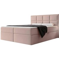 NADUVI Collection | Boxspringbett Antonia Samt mit Stauraum 140x200 von NADUVI Collection