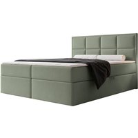 NADUVI Collection | Boxspringbett Antonia Samt mit Stauraum 140x200 von NADUVI Collection