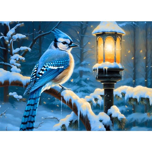 NAIMOER Diamond Painting Weihnachten, Diamant Painting Erwachsene Vögel Diamond Painting Erwachsene Bilder Lampe Diamant Painting Kinder 5D Diamant Malerei Stickerei für Home Décor(30x40cm) von NAIMOER