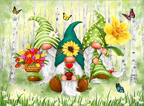 NAIMOER Gnomes Diamond Painting Kits für Erwachsene, Full Drill Blumen Diamond Painting Kits, DIY 5D Forest Diamond Painting Zwerg mit Schmetterling Diamant Malerei Set 30x40cm für Wanddekor von NAIMOER