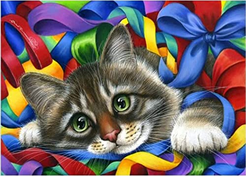 NAIMOER Katzen Diamond Painting für Erwachsene Kinder- Katze Diamond Art Kits, 5D Tiere Diamond Painting Set DIY Diamant Malerei für Wohnzimmer Büro Wand Dekoration (30x40cm) von NAIMOER