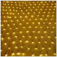 LED Lichternetz 3x2m 250LEDs Lichterkettennetz Warmweiß Lichtervorhang mit 8 Modi Stecker Lichterkette Dunkelgrüne Lichtlinie Weihnachtsbeleuchtung von NAIZY