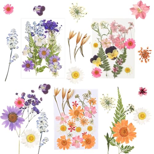 63 Stück Natürliche Getrocknete Blumen, Gepresste Blumen Blätter zum Basteln, Deko Blumen, Echte Getrocknete Gepresste Blumen für Epoxidharz Seife DIY Harz Scrapbooking Basteln Zubehör 63 Stück Natürliche Getrocknete Blumen, Gepresste Blumen Blätter zum Basteln, Deko Blumen, Echte Getrocknete Gepresste Blumen für Epoxidharz Seife DIY Harz Scrapbooking Basteln Zubehör von NAMIC