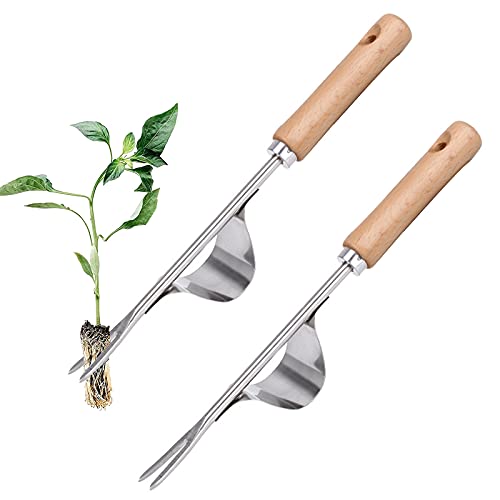 Unkrautstecher Edelstahl Ampferstecher mit Stiel Unkrautjäter Garten Hand Weeder mit Holz Stiel Manueller Weeder Gartenwerkzeug zum Graben, Jäten, Lösen, Geschenk für Gärtner Gärtnerinnen(2 Satz ) von NAMIS