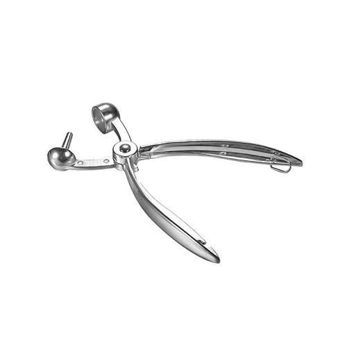 NAMOARLY Kirschentkerner Und Olivenentkerner-werkzeug Obstentkerner Für Kirschen Oliven Und Datteln Einfach Zu Bedienen Ohne Druckstellen NAMOARLY Kirschentkerner Und Olivenentkerner-werkzeug Obstentkerner Für Kirschen Oliven Und Datteln Einfach Zu Bedienen Ohne Druckstellen von NAMOARLY