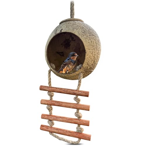 Namture 2er-Pack Handgefertigtes Kokosnuss-Vogelhaus – Recycelte Kokosnussschale, Vogelfutterstation im Leiterstil, Wetterfester Nistkasten für kleine Vögel, Reptilien, Gartenliebhaber Namture 2er-Pack Handgefertigtes Kokosnuss-Vogelhaus – Recycelte Kokosnussschale, Vogelfutterstation im Leiterstil, Wetterfester Nistkasten für kleine Vögel, Reptilien, Gartenliebhaber von NAMTURE