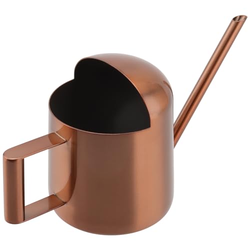 NAMYEUT 300ml Edelstahl Gießkanne Klein, Mini Gießkanne Zimmerpflanzen Metall, Langer Auslauf Giesskanne, Garten Gießkanne für Pflanzen im Innen- und Außenbereich, Blumengießkanne, Bronze von NAMYEUT